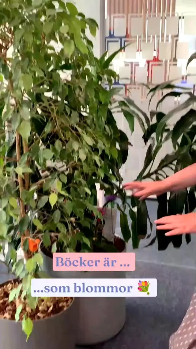 🌻🪻☘️Glad Midsommar önskar vi på BoD!🌺🌼🌿
Kommer du också att lägga 7 böcker under huvudkudden i natt?
"BoD-legenden säger att du i drömmen kommer att få se din färdiga bok, som du ska publicera."
 
Vi önskar dig en underbar Midsommar och dröm sött!

#midsommarafton #författare #midsommar #böcker #bod_sverige